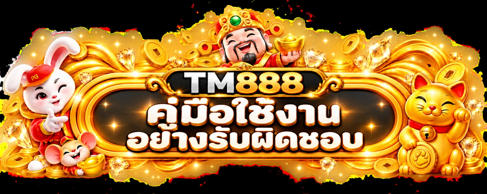 TM888 คู่มือใช้งานอย่างรับผิดชอบ | ตั้งงบและตรวจทางเข้า